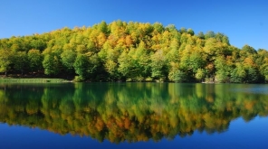 Özel Turlar Özel Turlar